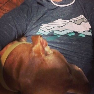 Meet your Posher, Danny